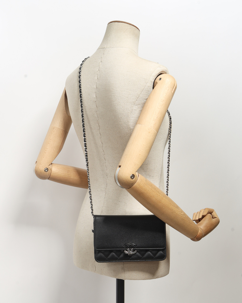 15076_c11866ff0b-778-18717-10-full