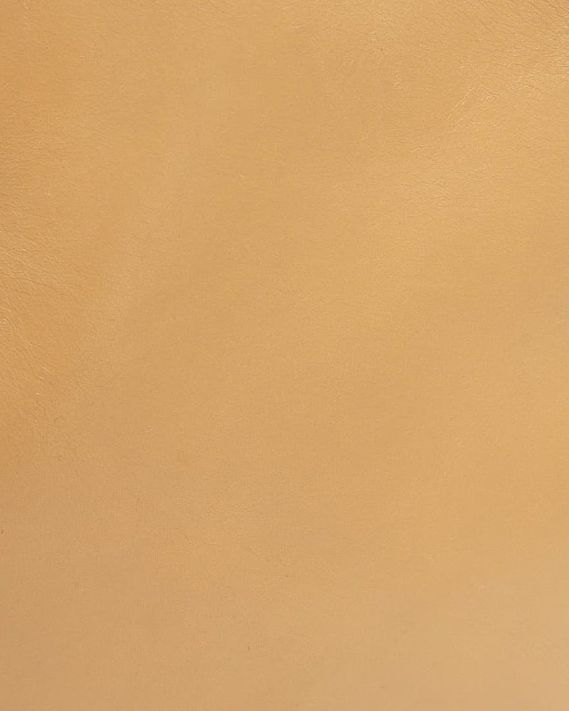 24868_bf44d1f924_file-full