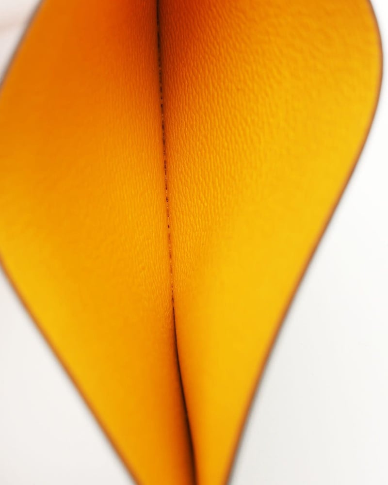 25423_9a5d260b78_file-full