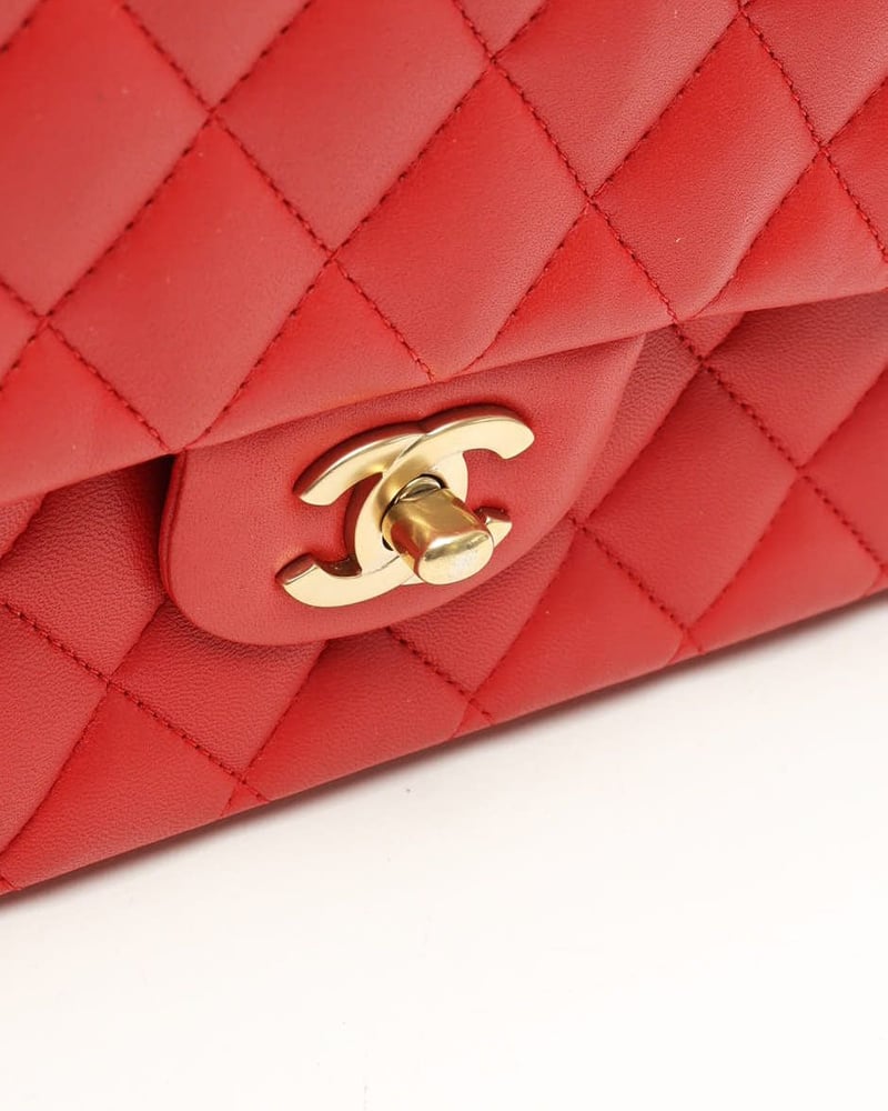 25560_fb5021b788_file-full