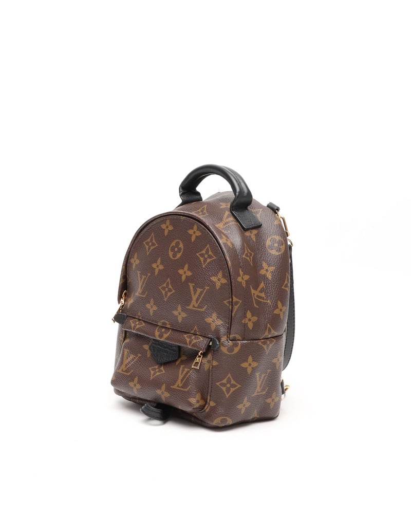 Vintage Louis Vuitton Monogram Mini Palm Springs Backpack A