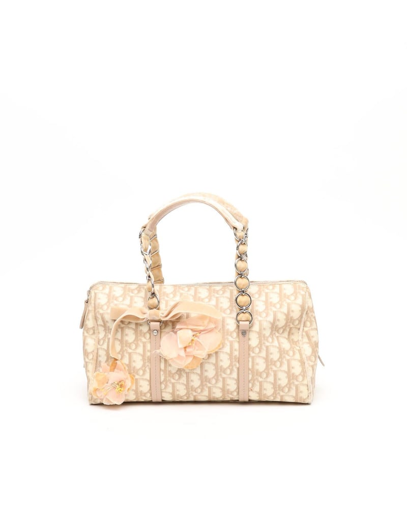 Christian Dior Trotter Romantique Bag