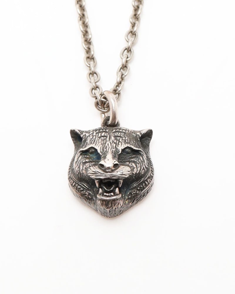 32311_9941174940_file-full