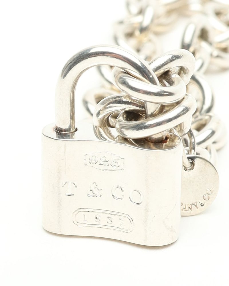 43340_5ef23593b6_file-full