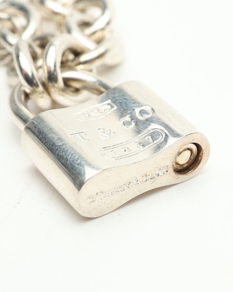 43340_eaecb5c368_file-full