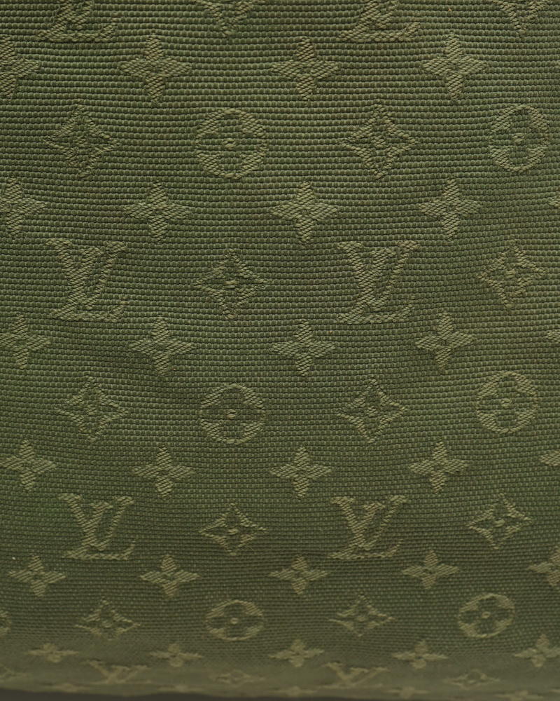 Louis Vuitton Mini Lin Lucille PM Bag