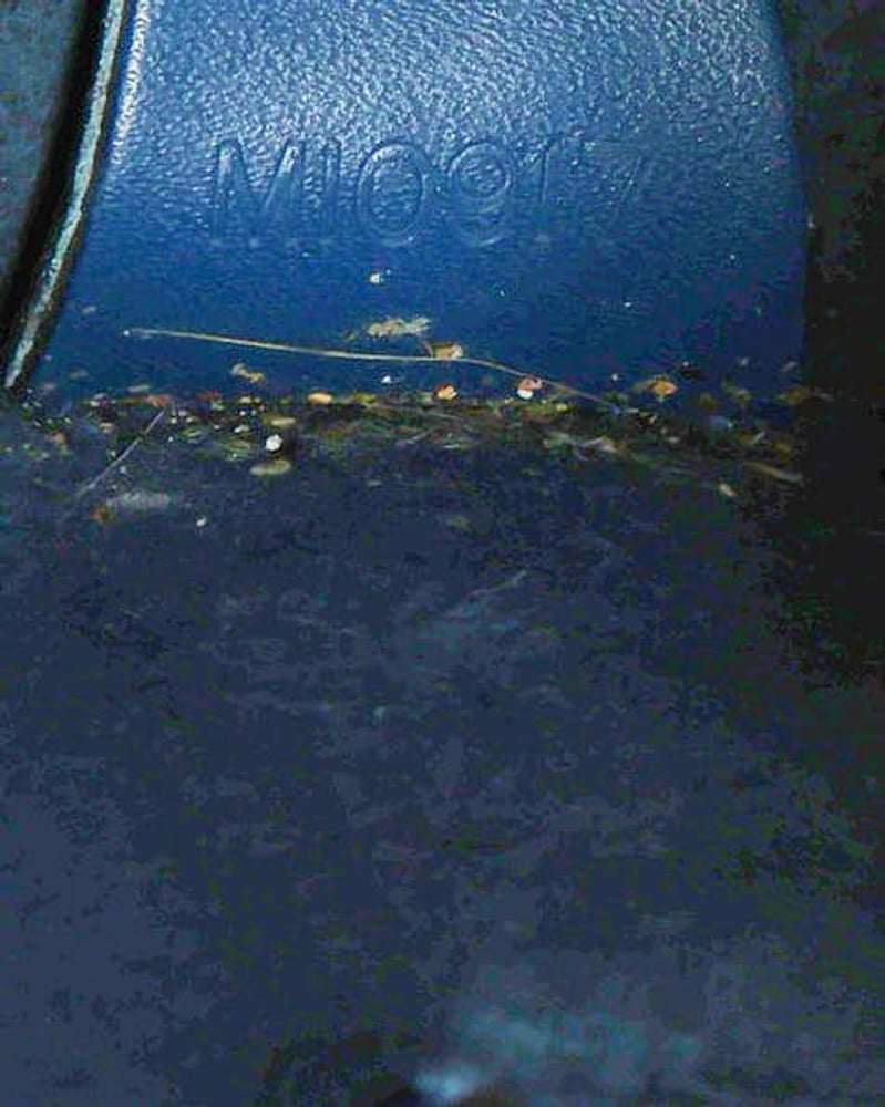 48975_0c4af97237_file-full