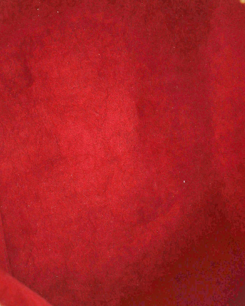 50263_0ca08707d8_file-full