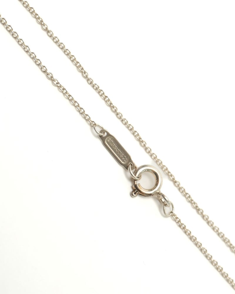 51234_4662a63795_file-full