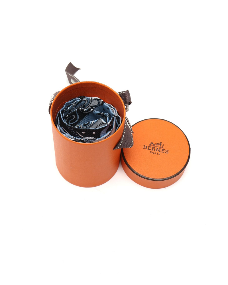 Hermès Silk Twilly