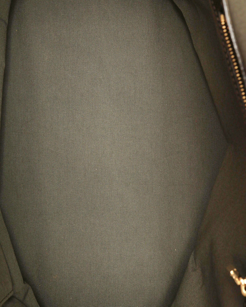 Louis Vuitton Mni Lin Josephine GM Bag