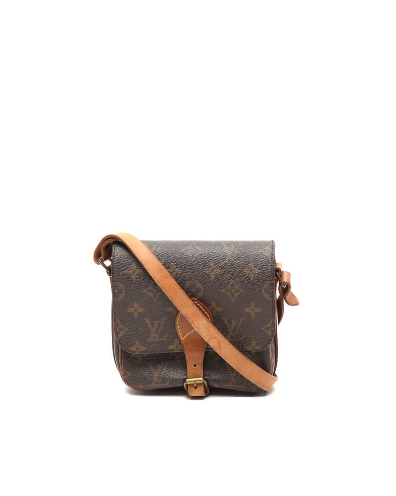 Louis Vuitton Monogram Catouchiere PM Bag