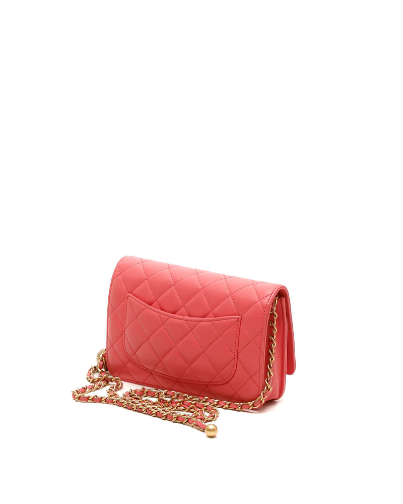 Chanel Classic Wallet On Chain Bag