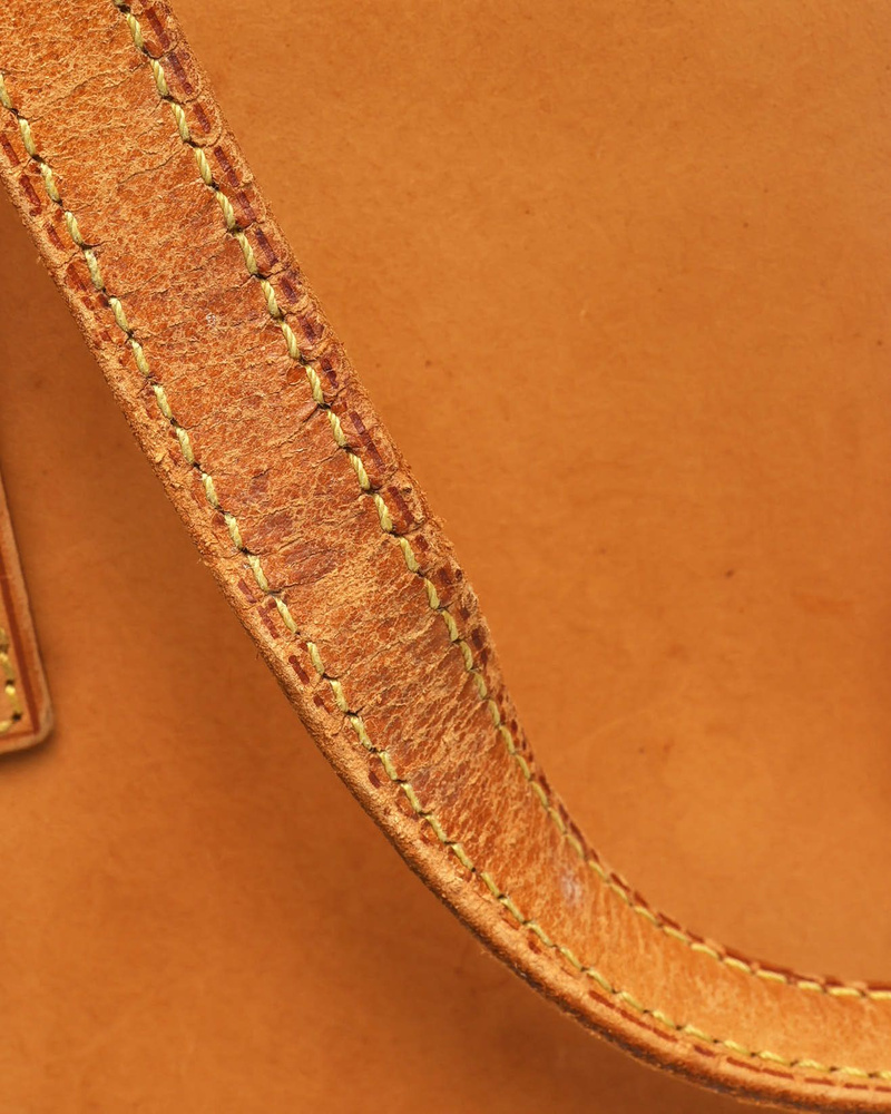 Louis Vuitton Nomad Bucket PM Bag