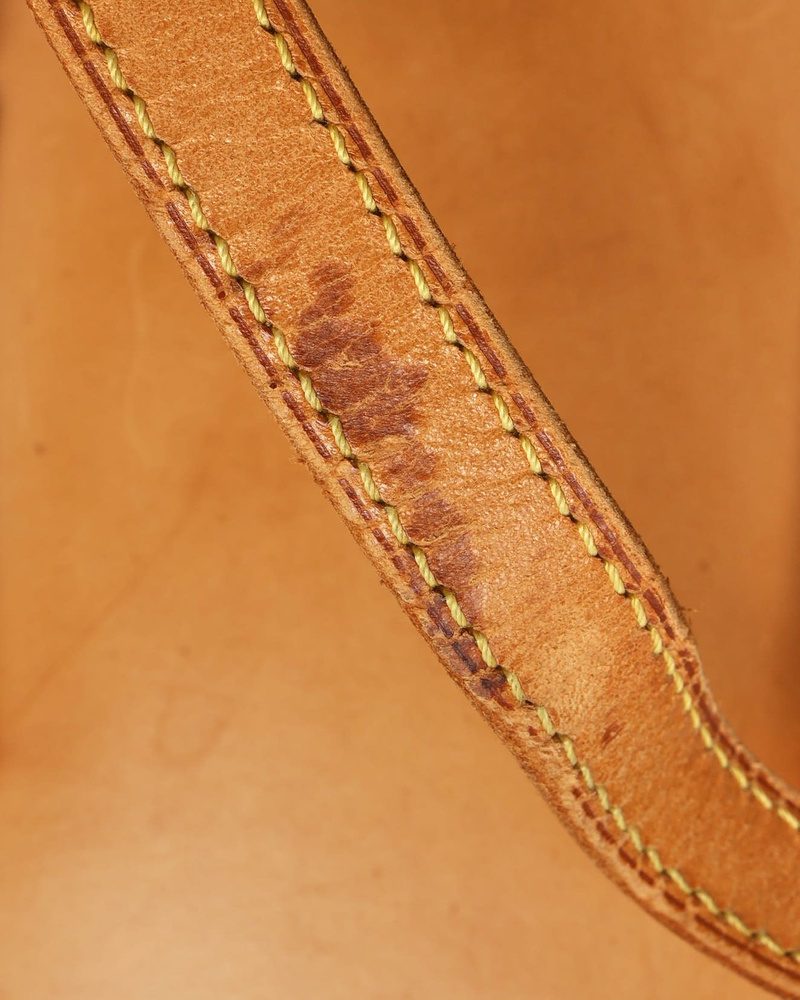 Louis Vuitton Nomad Bucket PM Bag
