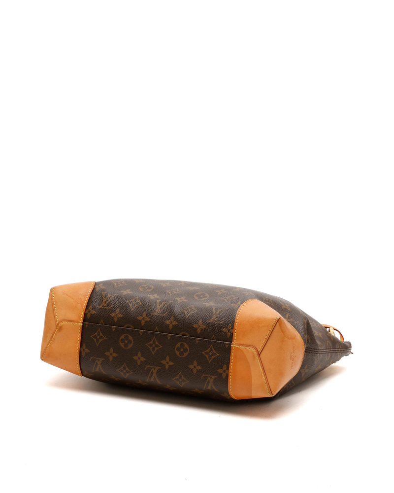 Louis Vuitton Monogram Berry PM Bag