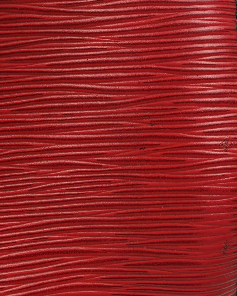 Louis Vuitton Epi Speedy 25 Bag