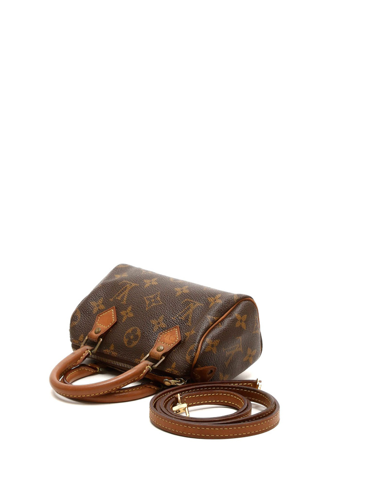 Louis Vuitton Monogram Nano Speedy Bag
