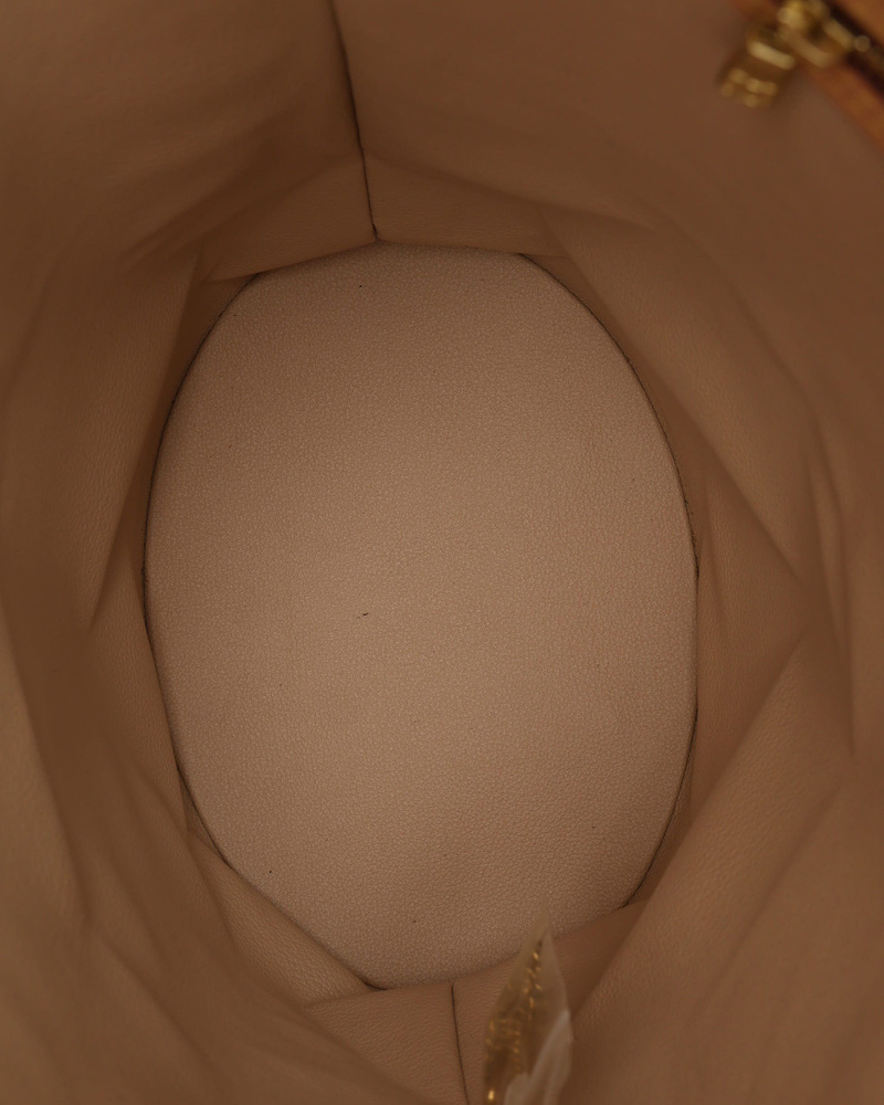 Louis Vuitton Monogram Bucket GM Bag