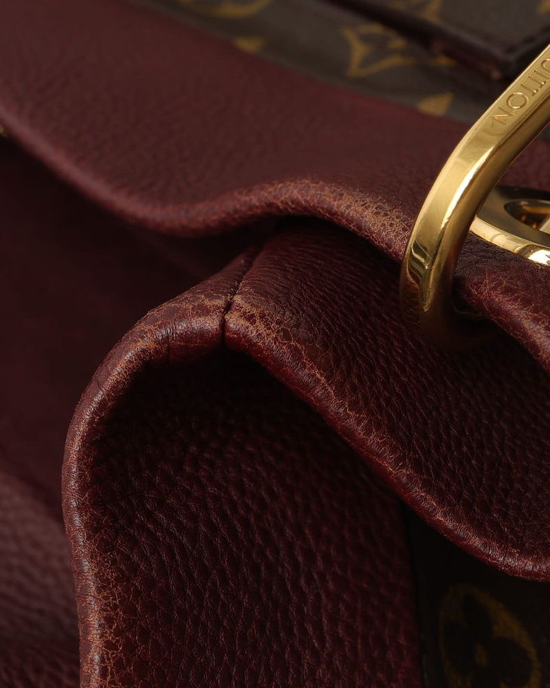 Louis Vuitton Monogram Olympe Bag