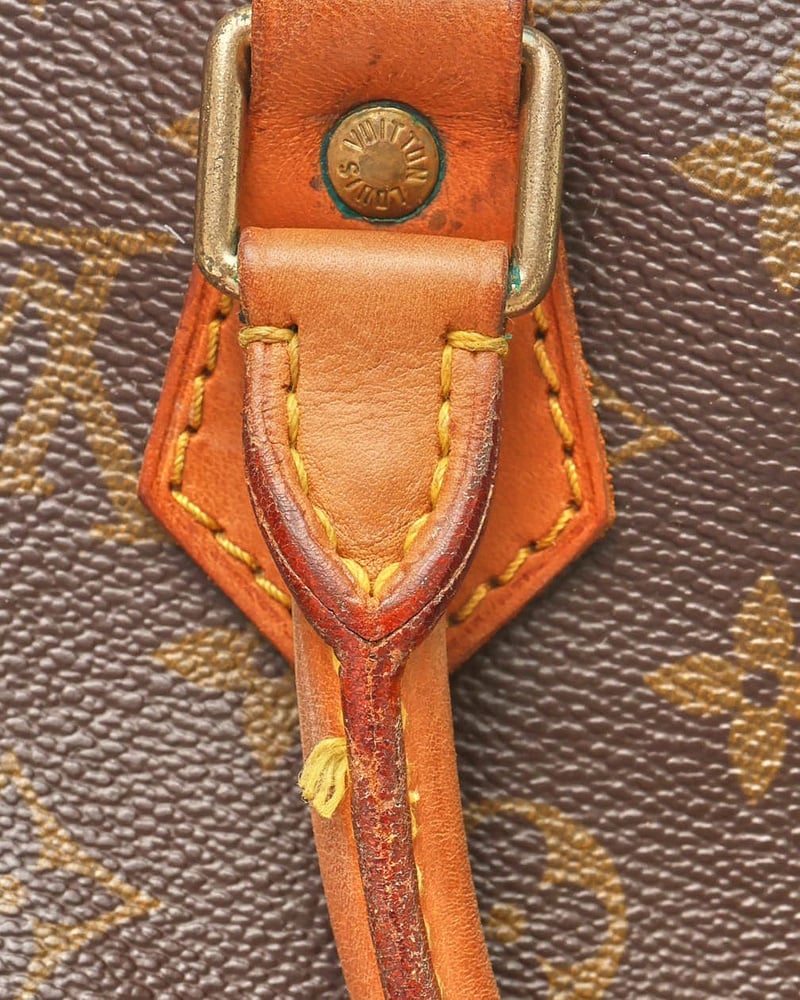 Louis Vuitton Monogram Speedy 25 Bag