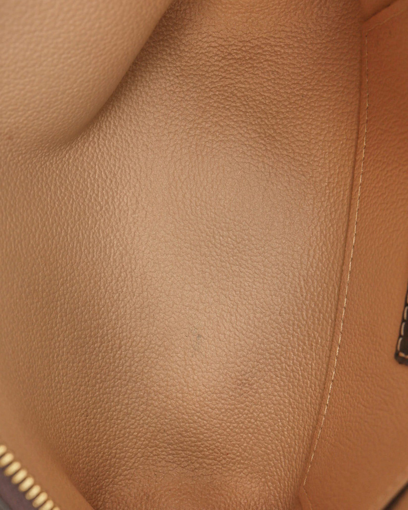 Louis Vuitton Mini Lin Cosmetic Pouch