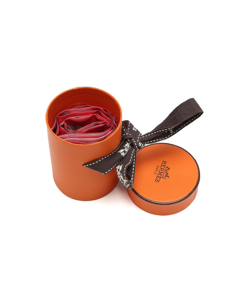 Hermès Silk Twilly