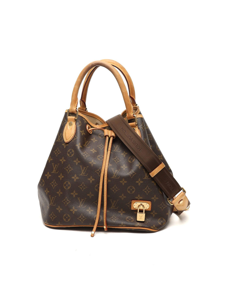 Louis Vuitton Monogram Neo Bag