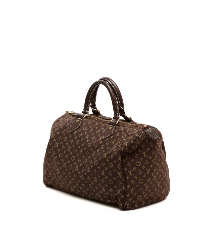 Louis Vuitton Mini Lin Speedy 30 Bag