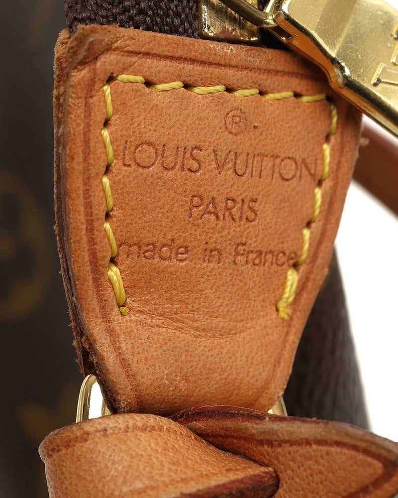 Louis Vuitton Monogram Pochette Accessoires Bag