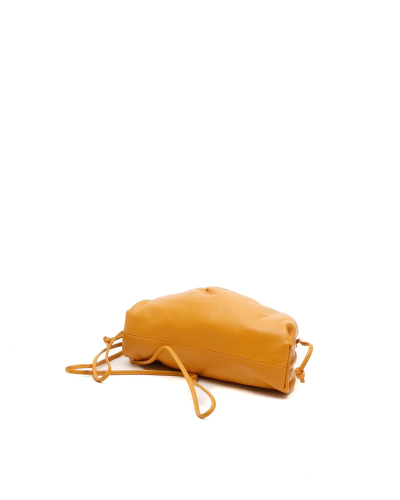 Bottega Veneta Mini The Pouch Bag