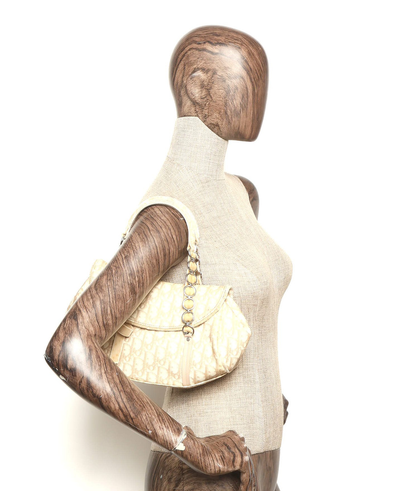 Christian Dior Trotter Romantique Bag