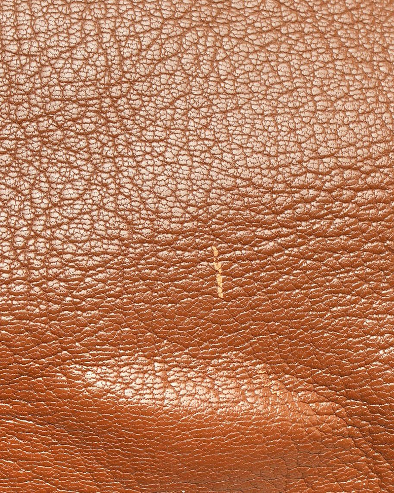 Miu Miu Leather Bag