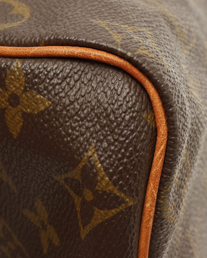 Louis Vuitton Monogram Speedy 25 Bag