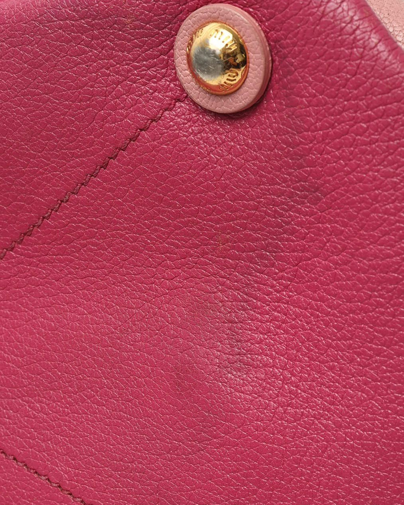 Miu Miu Leather Bag