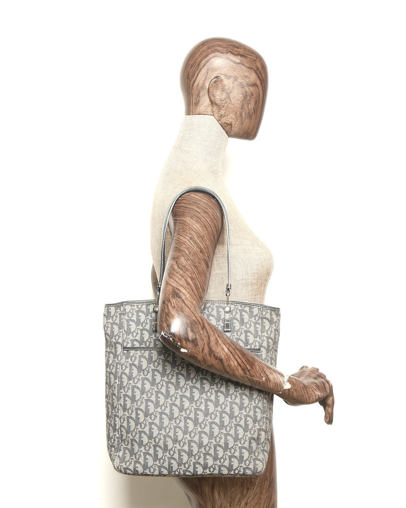 Christian Dior Trotter Tote Bag