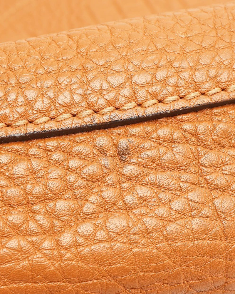 Fendi Selleria Hobo Bag
