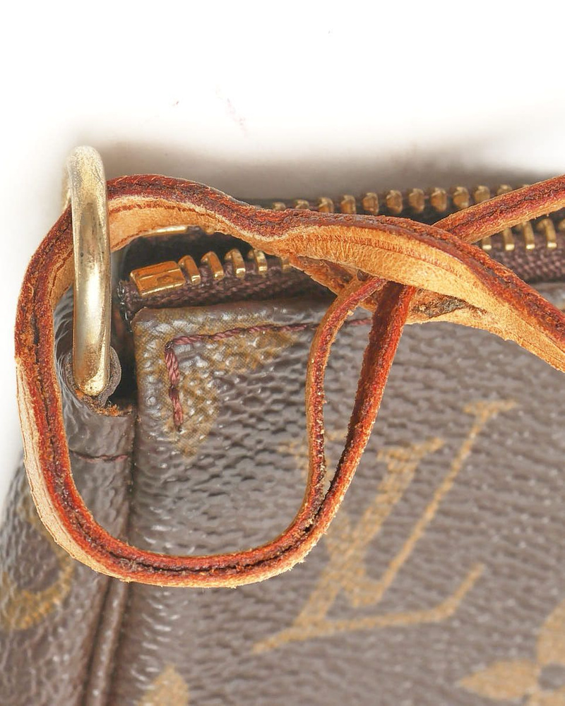 Louis Vuitton Monogram Pochette Accessoires Bag