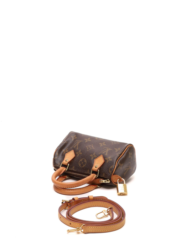 Louis Vuitton Monogram Nano Speedy Bag