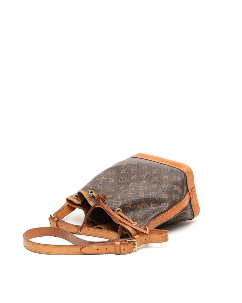 Louis Vuitton Monogram Petit Noé Bag