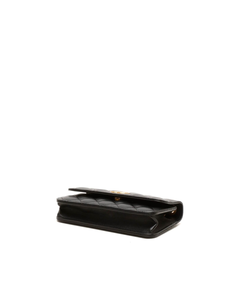Chanel CC Wallet on Chain Bag