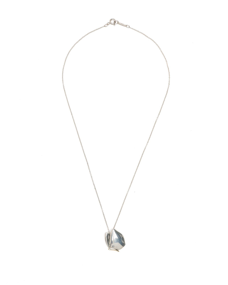 Tiffany & Co Butterfly Silver Necklace