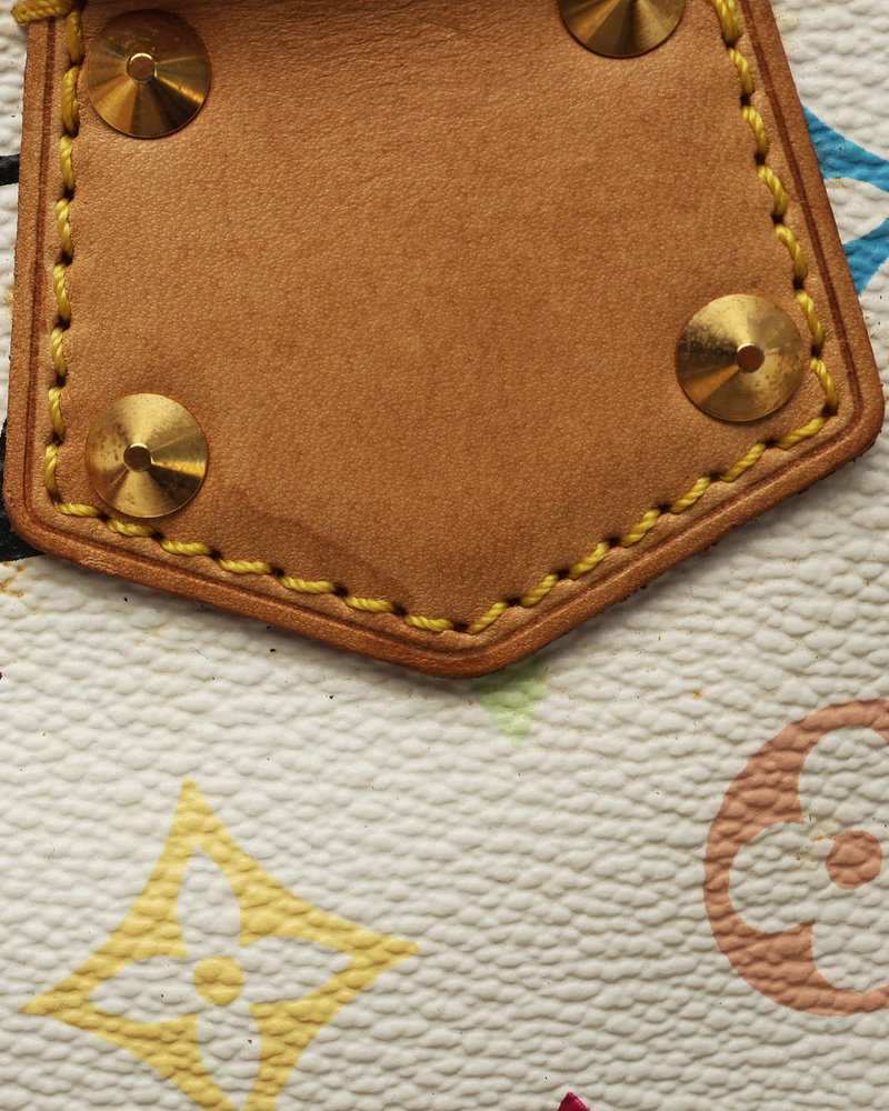 Louis Vuitton Takashi Murakami Speedy 30 Bag