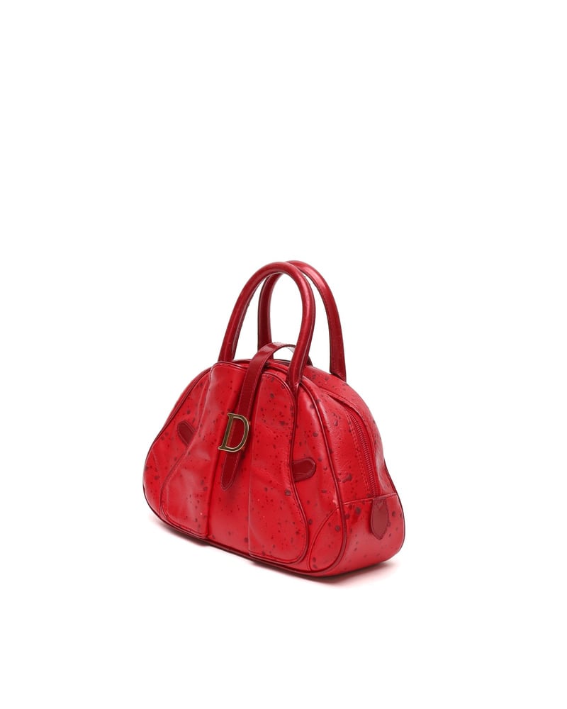 Christian Dior Raindrop Double Saddle Bag