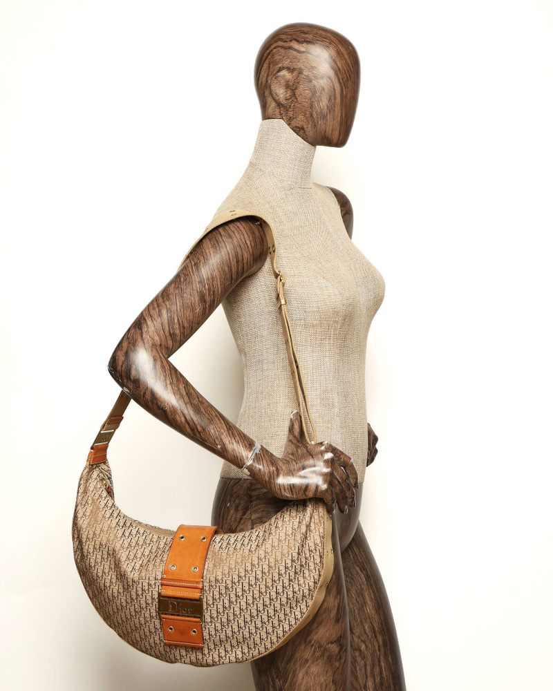 Christian Dior Street Chic Hobo Bag