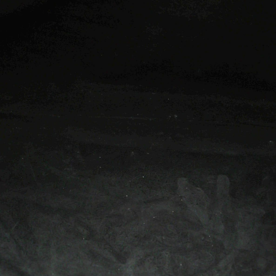 25678_cd9ba40fb0_file-square