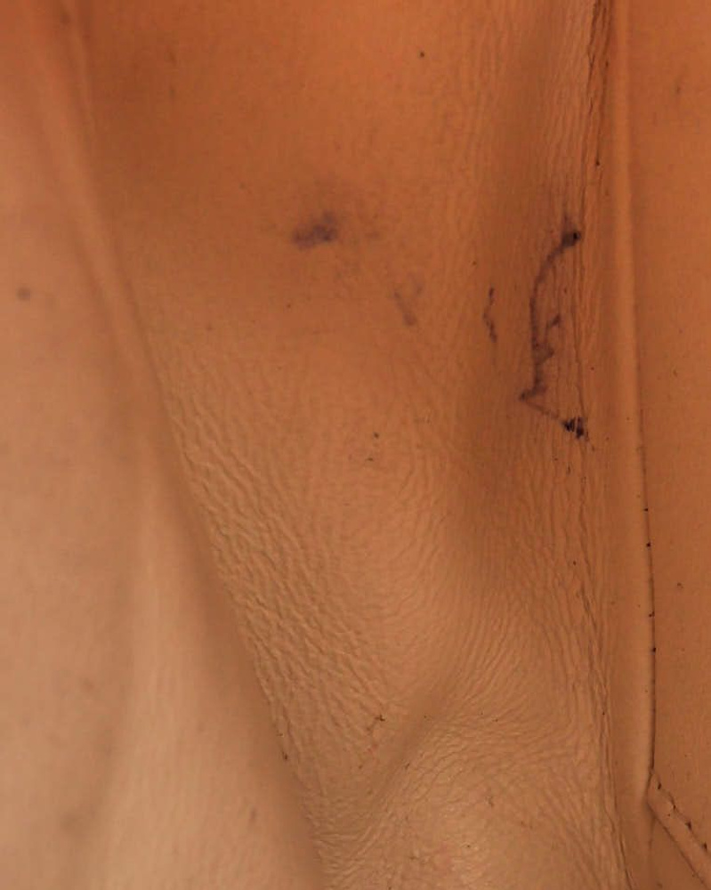 28667_02358fd0e4_file-full