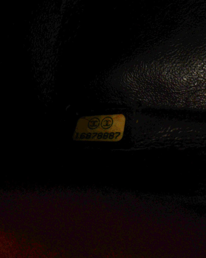 29184_07bf467033_file-full