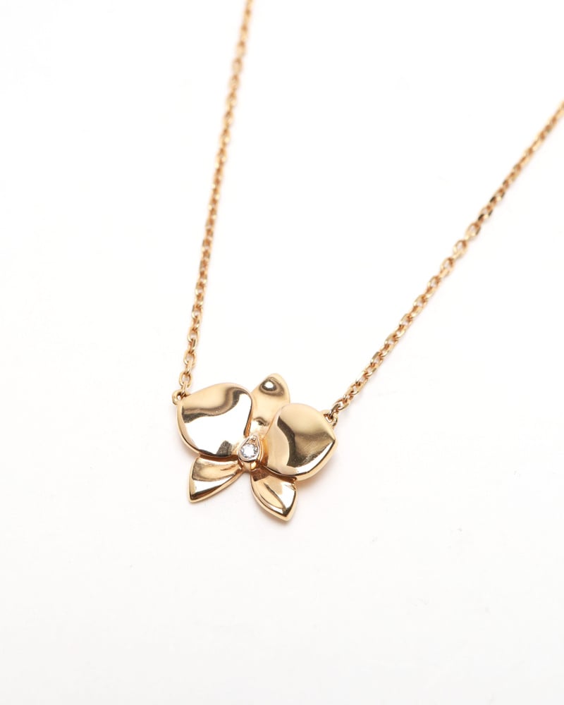 33514_4562216bf9_file-full