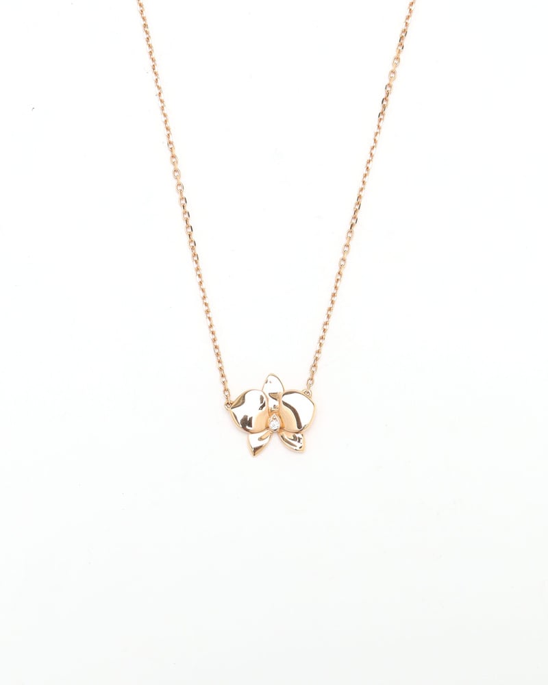 33514_a66700a3e3_file-full